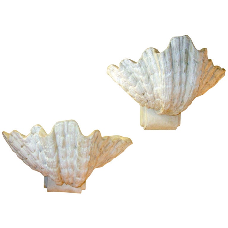 Pair of Shell Form Plaster Sconces by Serge Roche