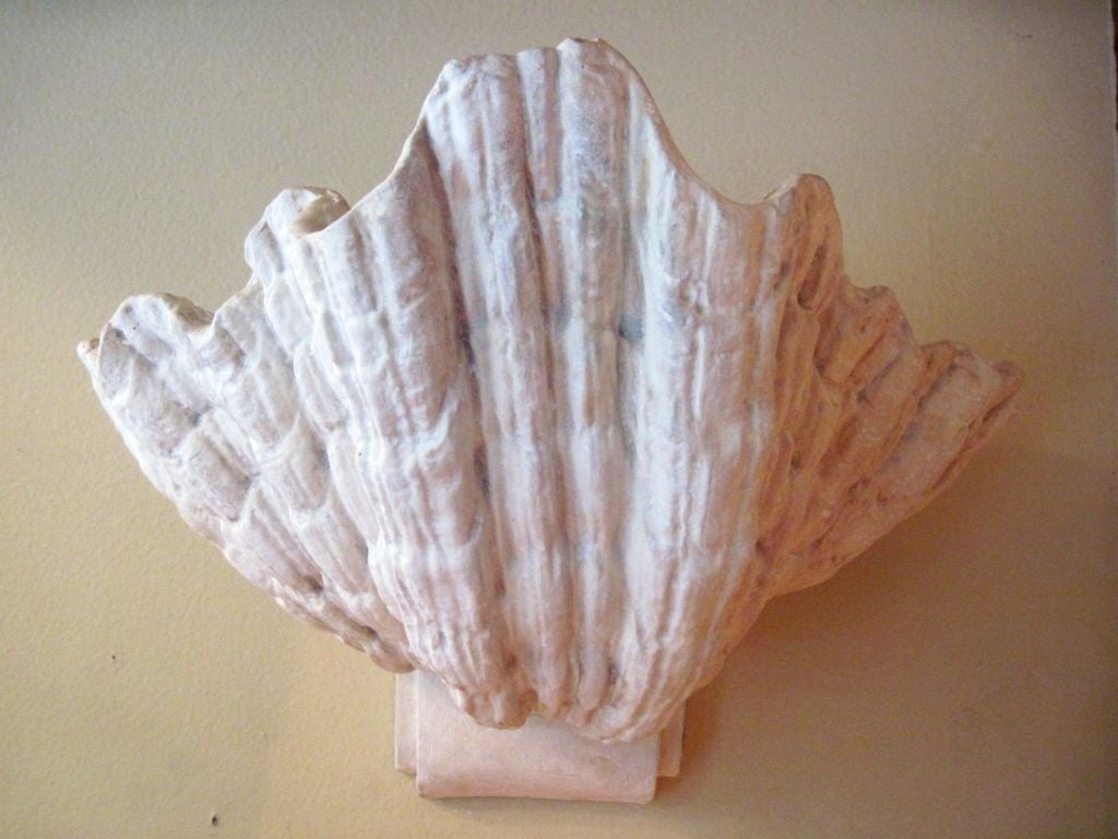 Pair of shell form plaster sconces by Serge Roche, French, 1940's