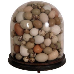 Antique 19TH CENTURY BELL JAR WITH BIRDS' EGGS