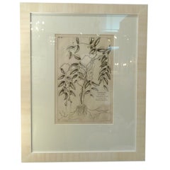 Marchaux Botanicals Custom Framed