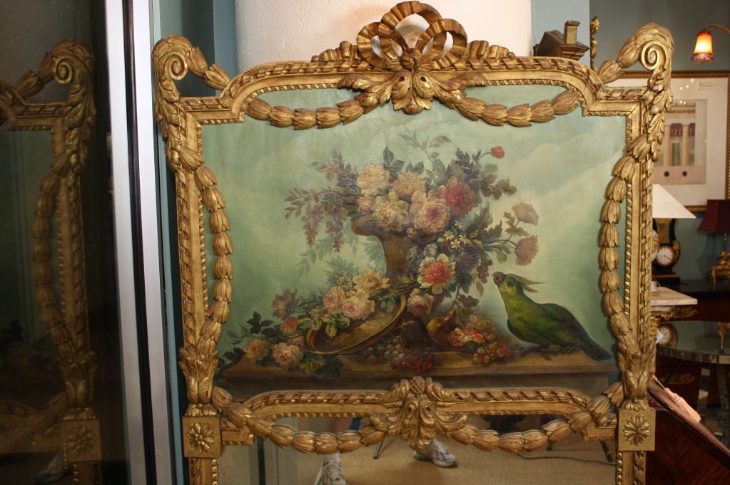 miroir perroquet