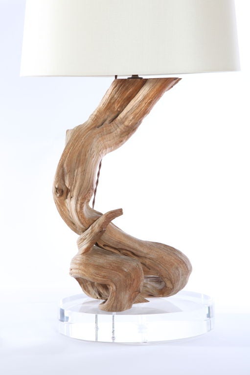 SALE!! Driftwood Lamp