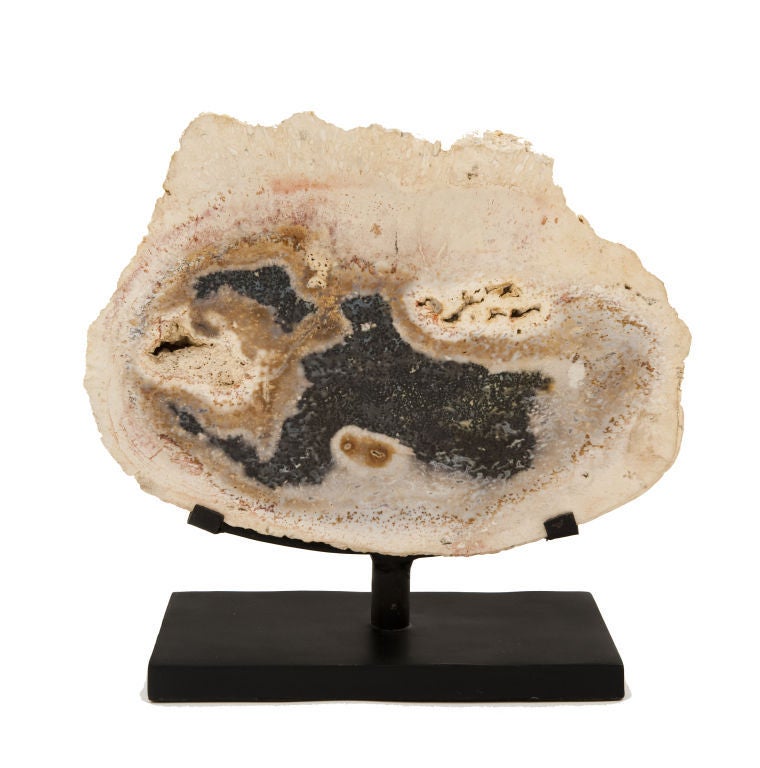 18th Century Petrified Wood on stand 2