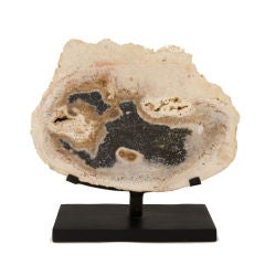18th Century Petrified Wood on stand