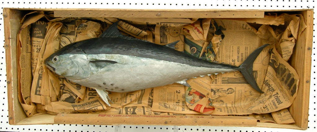 Tuna Fish Box