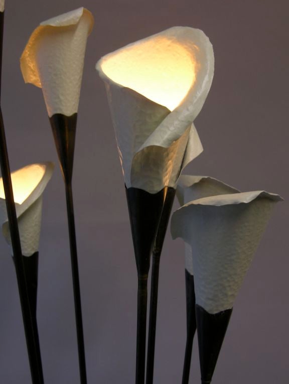 Arredoluce Calla Lamp