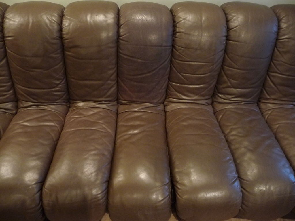 Mid-20th Century eleven section de sede non-stop organic sofa