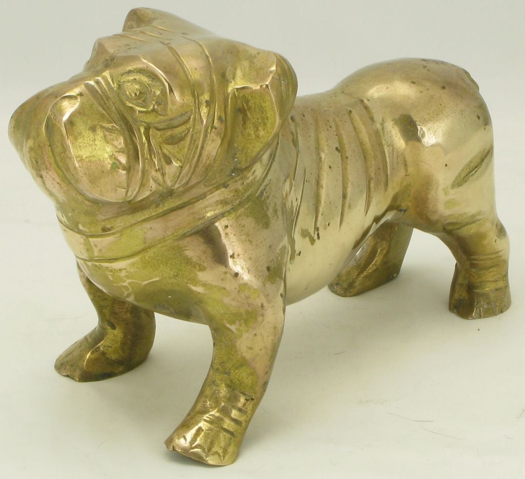 Solid cast brass English Bulldog statue with natural aged patina. Stout and determined of face, just like the breed.  Roughly half scale.
