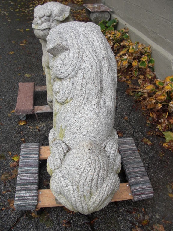 20th Century Pair of  granite foo dogs from the Gurdon Wattles estate