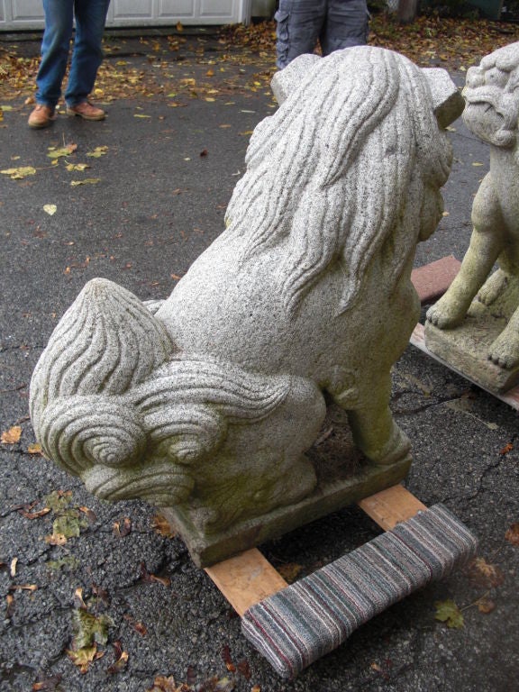 Pair of  granite foo dogs from the Gurdon Wattles estate 1
