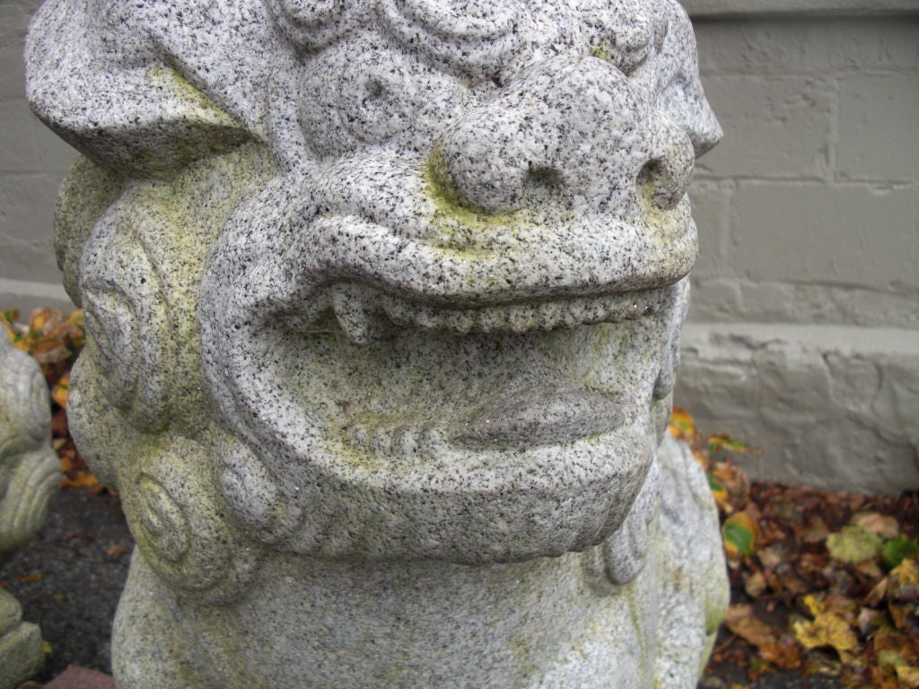 Pair of  granite foo dogs from the Gurdon Wattles estate 5