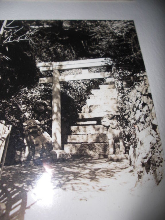 Pair of  granite foo dogs from the Gurdon Wattles estate 6