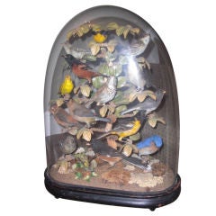 Antique Victorian song birds in glass dome