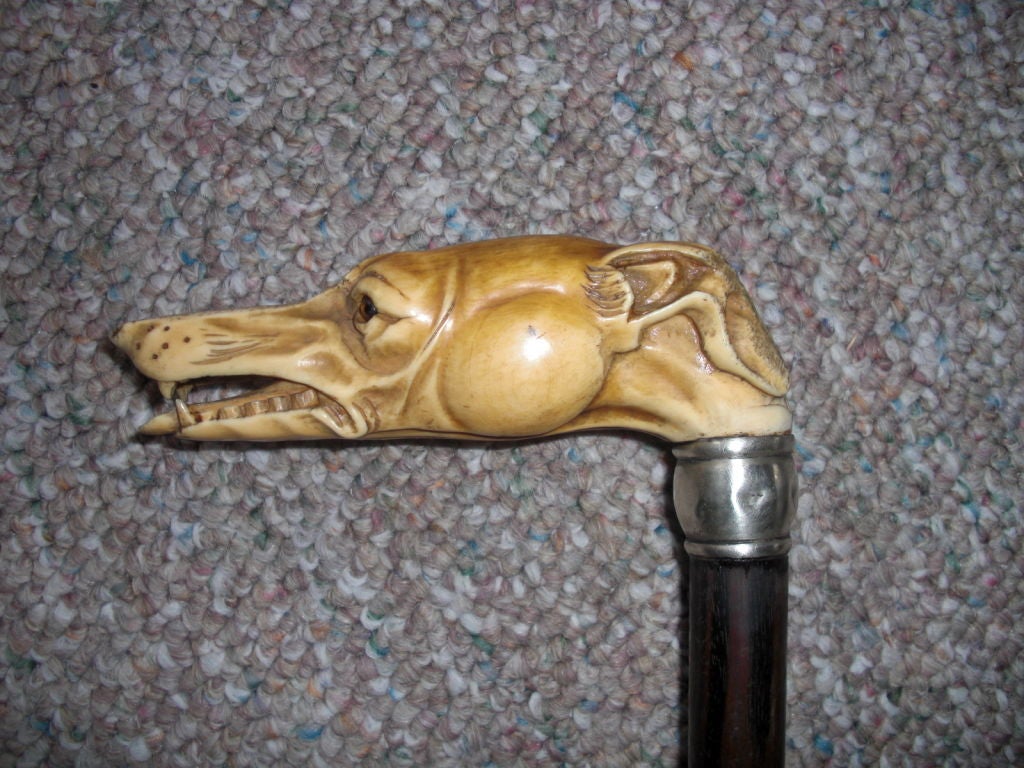 An pretty good example of a 19th century English walking cane with a carved ivory whippet ? handle with glass eyes and a rosewood shaft with sterling silver neck/ring. We can't stress enough how beautifully carved the dog is. A wonderful object.