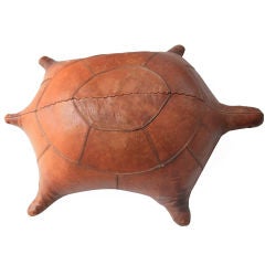Spanish Leather Turtle