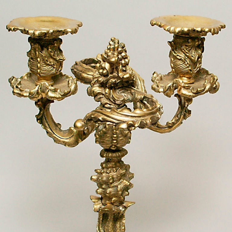 Rare pair of heavy old English brass candelabra, each with two candleholders. A sea-life design with intricate undulating pattern. The stem and base with sea shells and dolphins with intertwined tails.