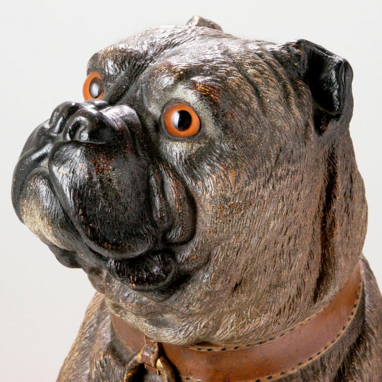 Rare bulldog anglais en terre cuite du 19ème siècle, grandeur nature. D'une hauteur de 21 pouces, il est assis majestueusement, la tête tournée. Il porte un large collier marron avec un anneau attaché. Dans la glaçure typique de la céramique brune,