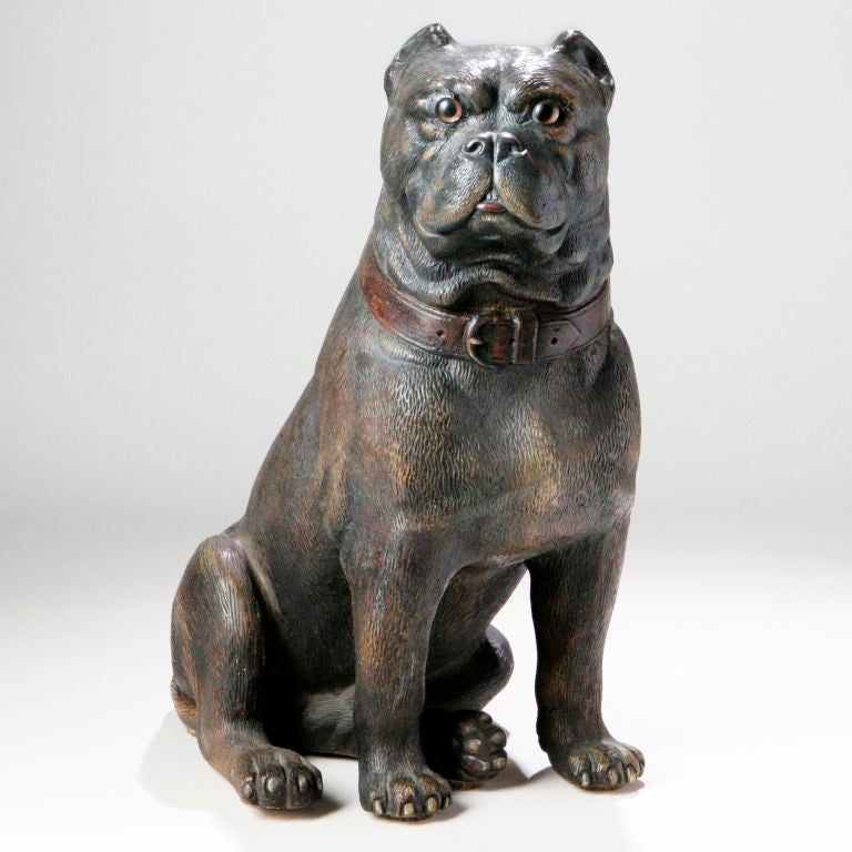 Large size Victorian English terracotta bulldog with clipped ears in a sitting position. In the typical brown ceramic glaze and with glass eyes and rubbed black nose.