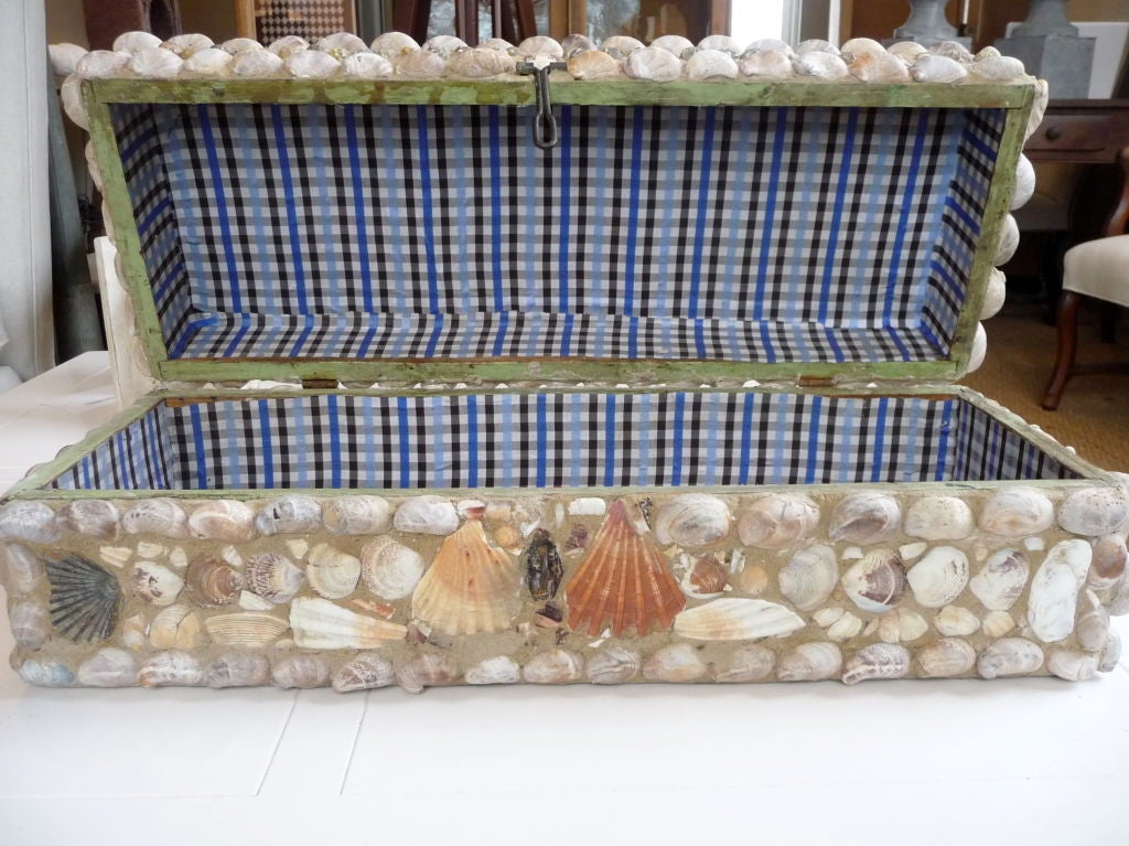 19th Century Giant English Antique Shell Box