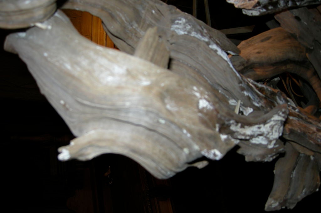 Large Driftwood Lamp