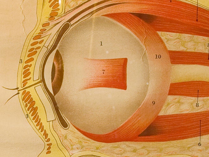 Mid-20th Century Framed Vintage Italian Teaching Poster of the Eye in French, circa 1940