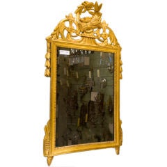 Antique Carved Wood Gilt Mirror