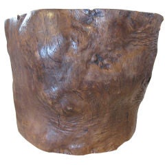 Massive Hollowed Tree Planter