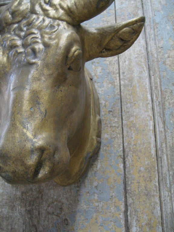 19th c. Zinc Bull's Head from the Boucherie in a small Village outside of Lille.  Hangs from back.