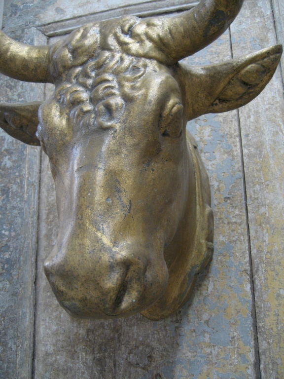 French 19th c. Zinc Bull's Head