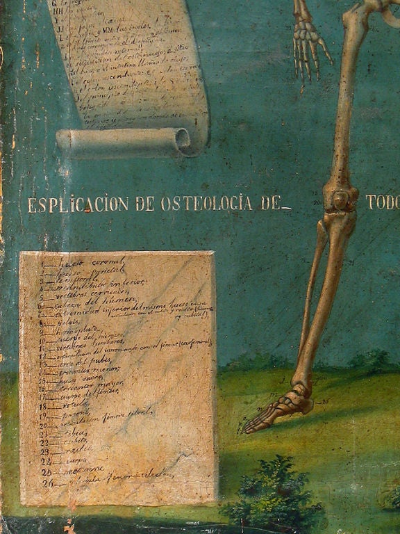 Rare 19th Century Mexican Anatomical Painting 2