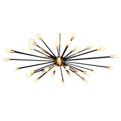 Thirty-Six Lights Brass and Black Enamel Sputnik Light Fixture