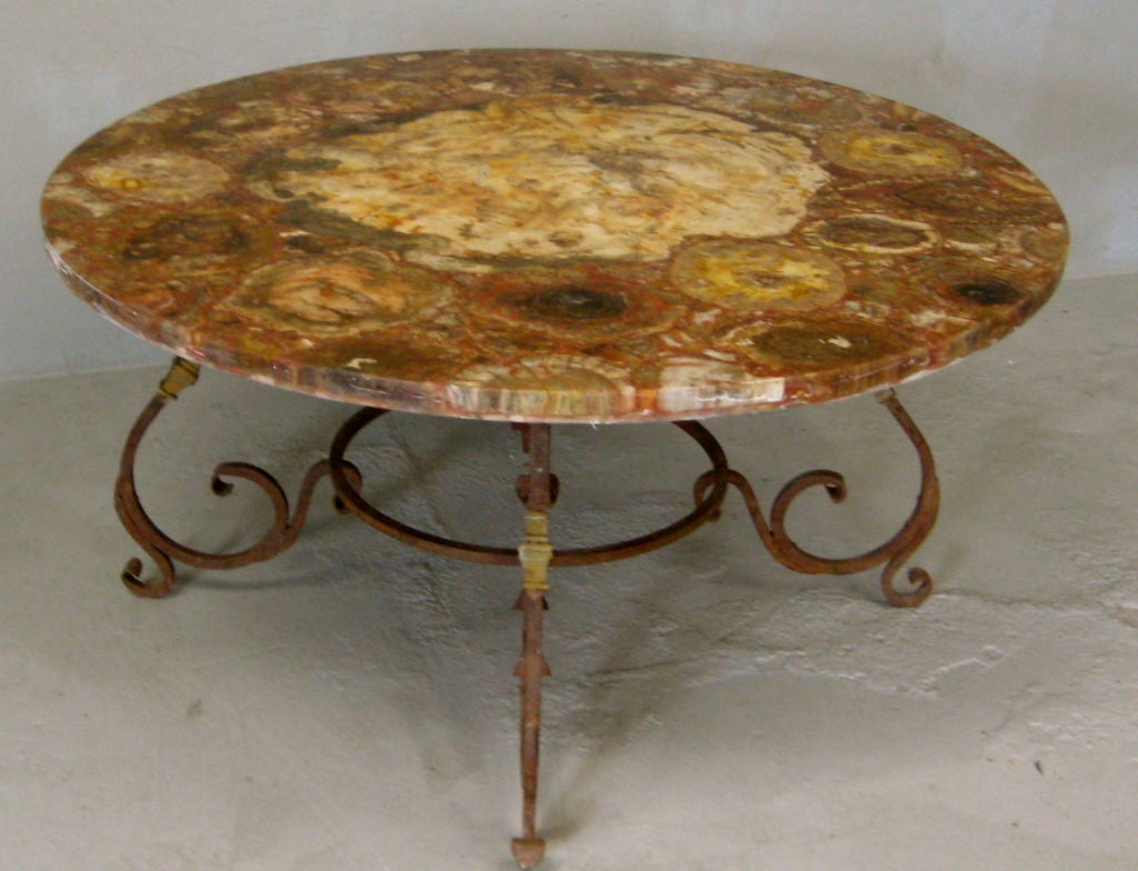 Malagasy Petrified Wood Table