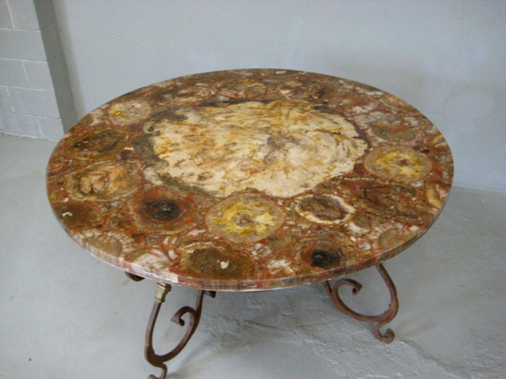 20th Century Petrified Wood Table