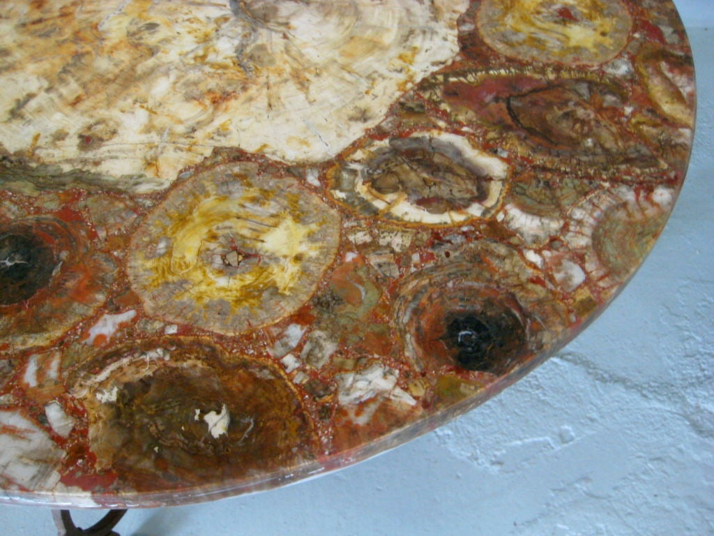 Petrified Wood Table 1