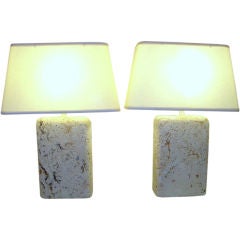 Pair of Coquina Coral Stone Lamps