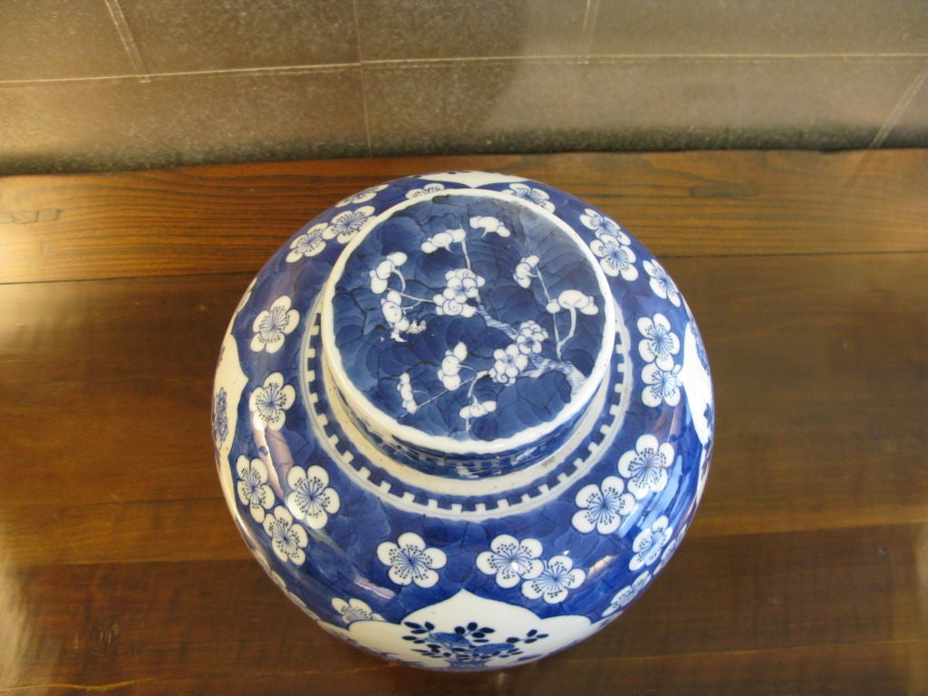 Chinese 19TH C. CHINESE COBALT BLUE GINGER JAR
