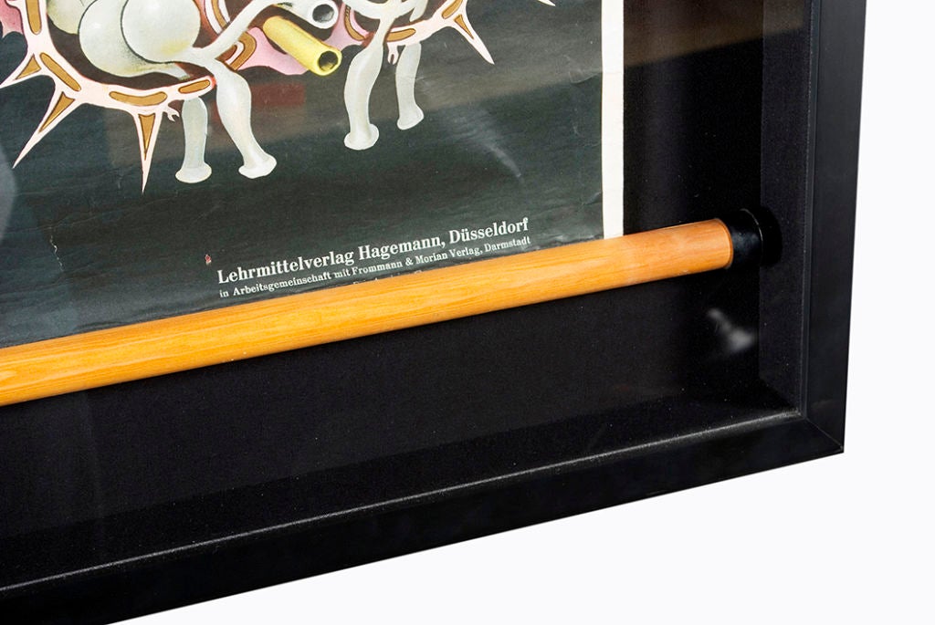 Framed Starfish Teaching Scroll