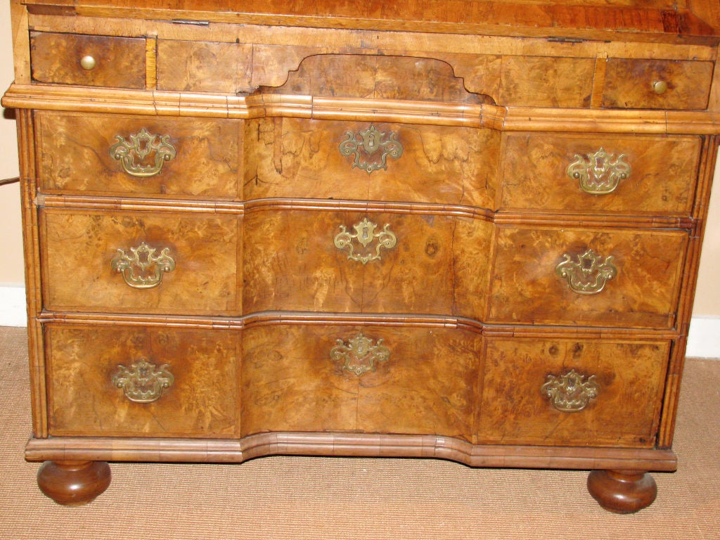 Early 18th Century Burl Walnut Secretary For Sale At 1stdibs