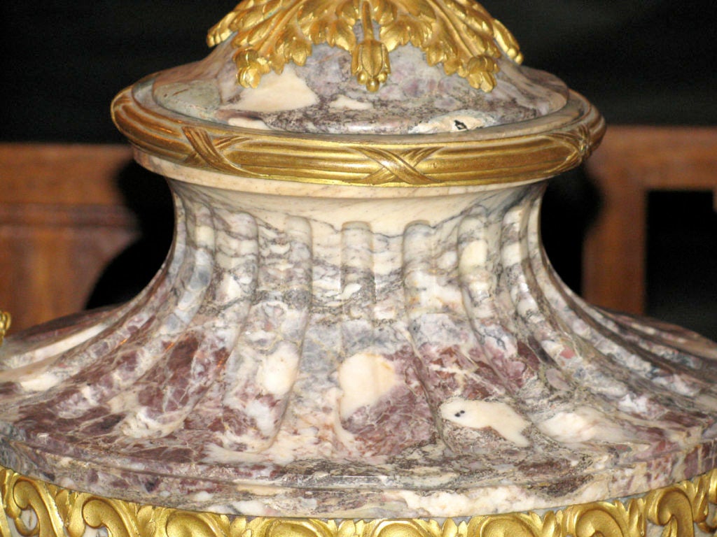 Indian Louis XVI Style Ormolu Mounted Urn in Breche Violette marble