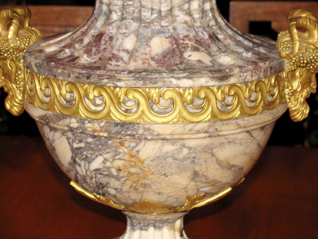 Carved Louis XVI Style Ormolu Mounted Urn in Breche Violette marble