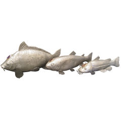Set of Three Silvered Catfish with inset Jewel