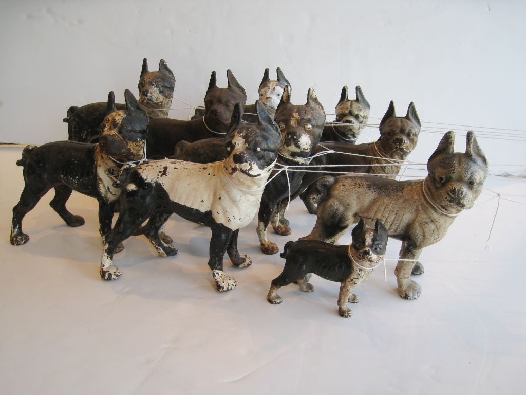 Collection of Cast Iron English Bulldogs used as doorstops and the smallest a child's Bank. Mearsurement is for the tallest