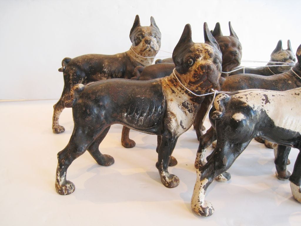 19th Century Collection of Cast Iron English Bulldogs
