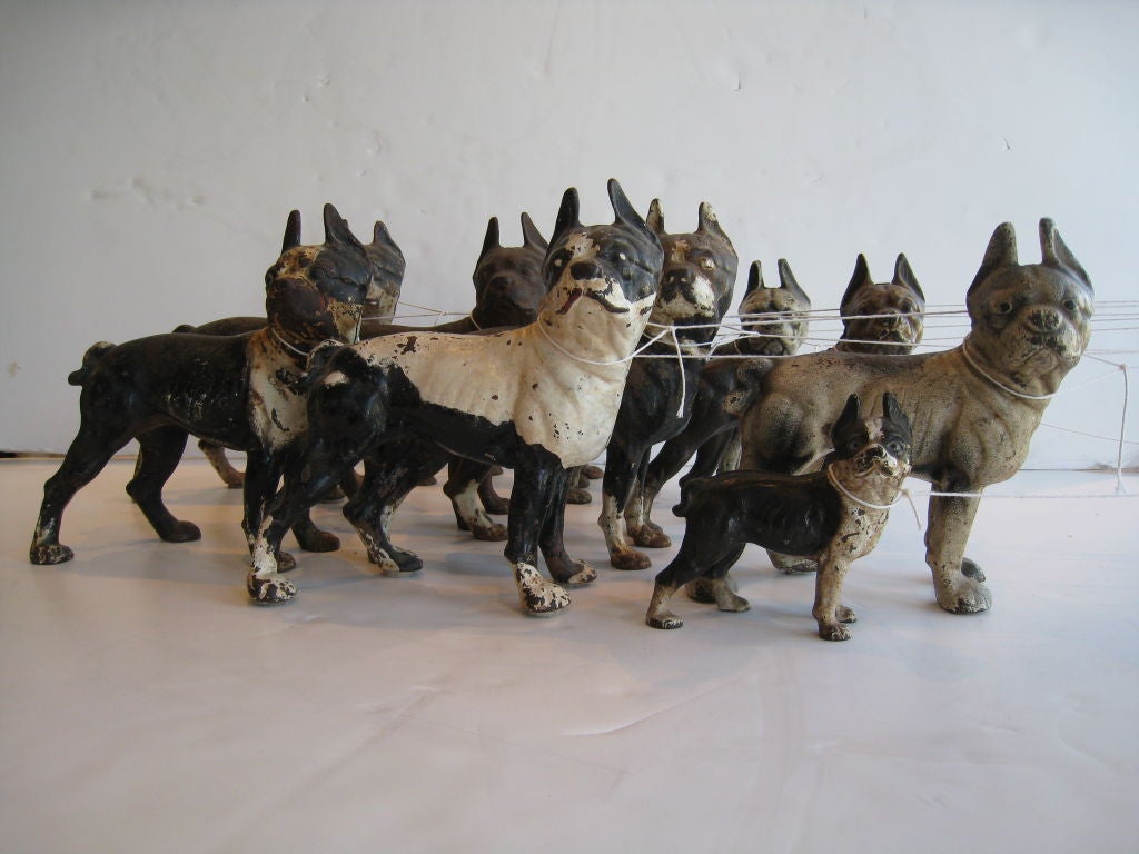 Collection of Cast Iron English Bulldogs 1