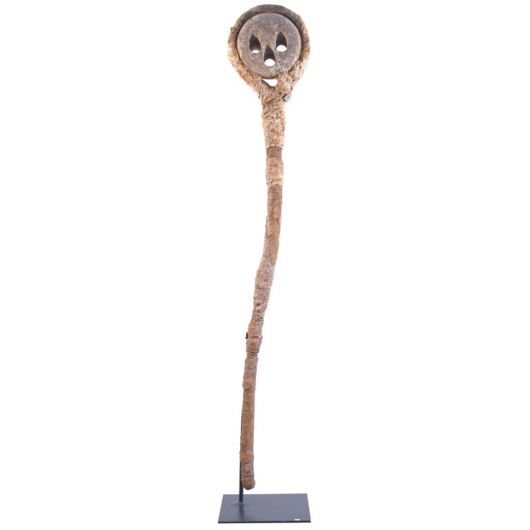 Dead Eye, From a Collection of Eight For Sale