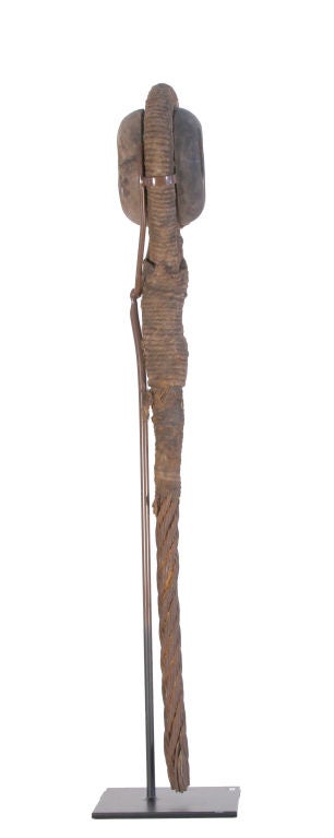 Dead Eye, From a Collection of Eight