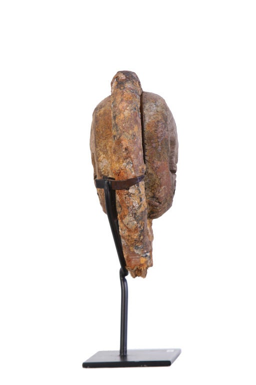Dead Eye, From a Collection of Eight