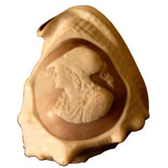 Italian etched and carved cameo shell