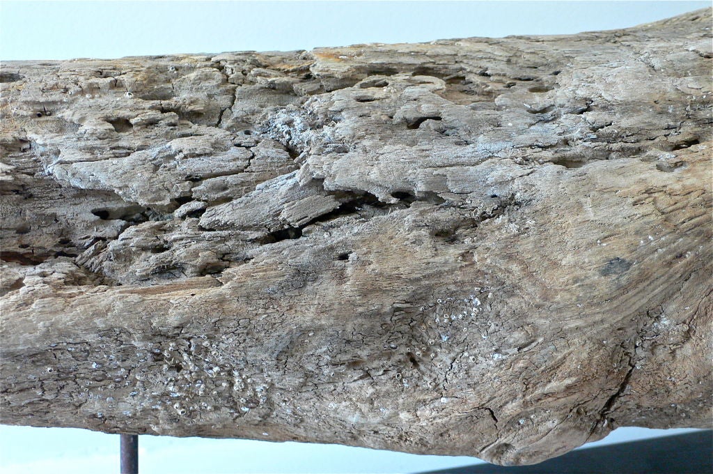 19th Century Primitive Wooden Whale Carving