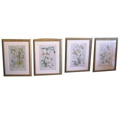 Set of Four 19th Century Art Nouveau Prints